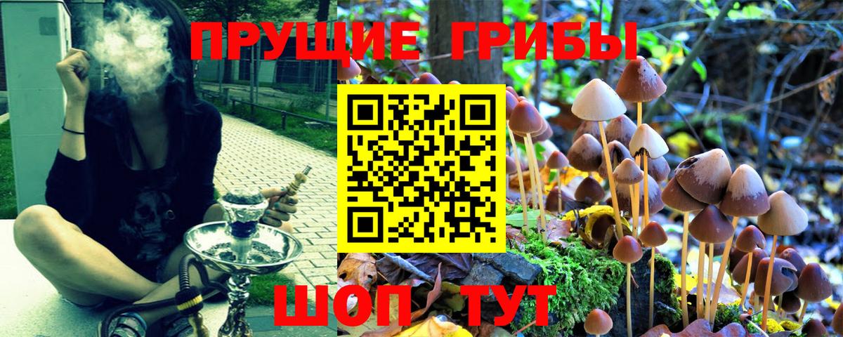 купить  сайты  Вход с VPN  Верхняя Салда  Галлюциногенные грибы MAGIC MUSHROOMS  Галлюциногенные грибы Magic Shrooms 