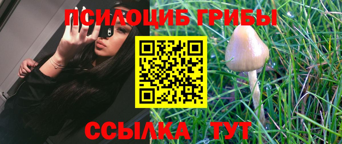 Псилоцибиновые грибы мухоморы Верхняя Салда